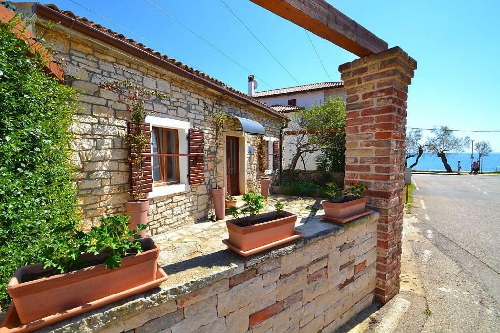 Villa Giardin Novigrad (Istria) Exterior foto