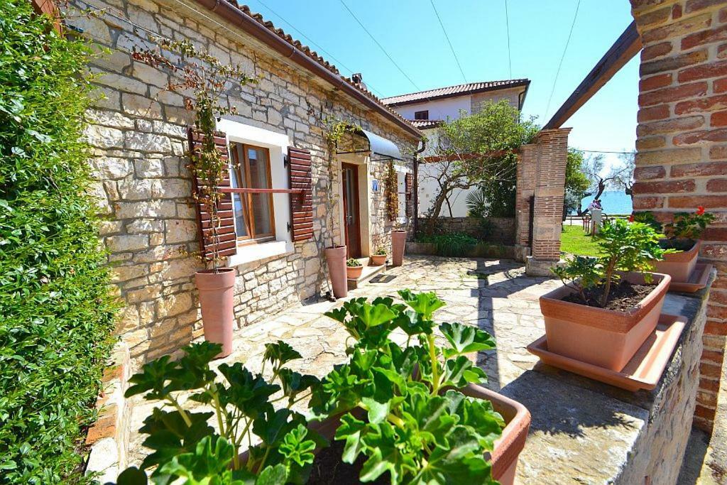 Villa Giardin Novigrad (Istria) Exterior foto